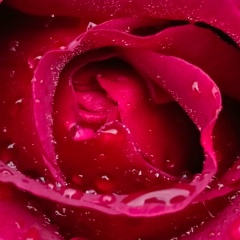 Юлечка Тулякова, 10.04.1989, Тверь