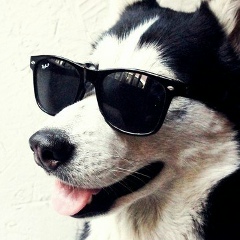 Святослав Макогонов, 25.07.1996, Шымкент