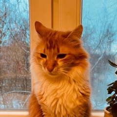 Владимир Утилов, 01.12.1991, Дмитров