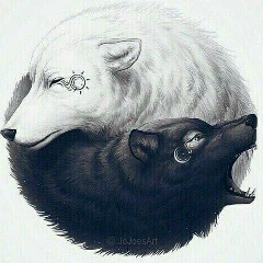 Ислам Чичаев, Грозный