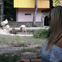 Ксения Матушевская, 22.12, Одесса