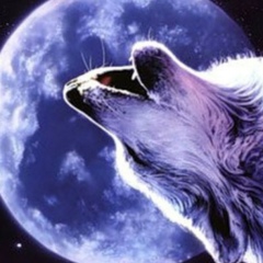 Милан Бабаев, 27.02.2004