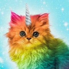 Илья Соколов, 11.05, Новосибирск