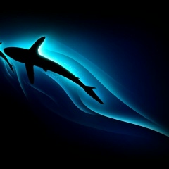 Мурик Мура, 13.03.1984