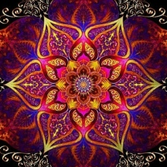 Vera Alekseevna, Владикавказ