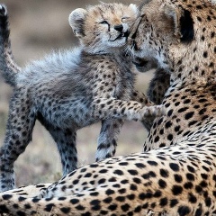 Кристина Бэсс, 21.01.1984, Киров