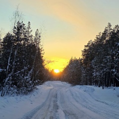 Александра Сергина, 13.12