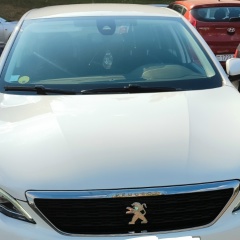 Василий Ковалёв, 29.11.1991, Минск