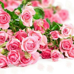 Tanik Funika, 16.11, Одесса