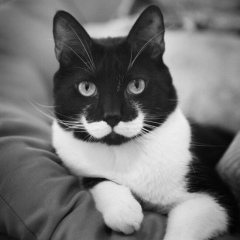 Кантемир Татаров, 22.09.1991, Москва