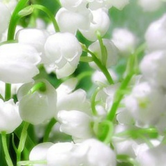 Карина Арутюнян