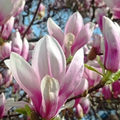 Надежда Кремлова, 11.12, Pardubice