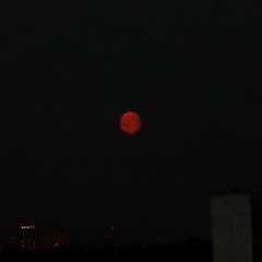 Алекс Ермаков, Москва