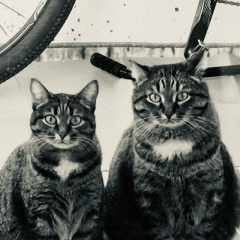 Полина Крохина, 27.09.1983, Екатеринбург