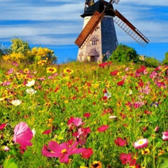 Нина Мельникова, 30.01, Санкт-Петербург