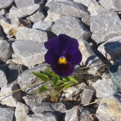 Евгения Баранова, 21.09.1986
