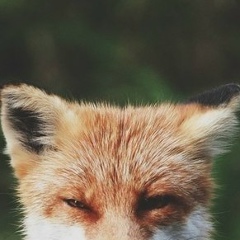 Аргунова Евгения, 09.01, Якутск