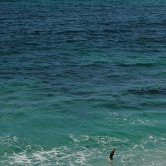 Рамзан Висмурадов, 08.03.1986, Санкт-Петербург