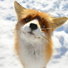 Иван Борискин, 03.11.1974, Херсон