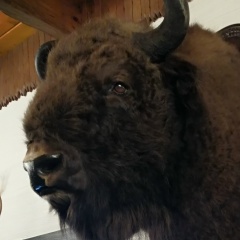 Дима Раплевич, 05.11.1991, Пинск