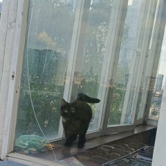 Мария Чуйгук, 12.03, Москва