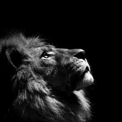 Elmira Namazbayeva, 05.08.1984, Алматы