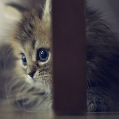 Георгий , 20.12, Минск