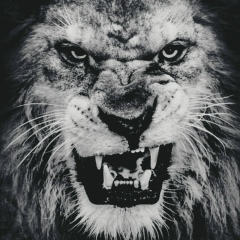 Mister Master, 24.12, Грозный