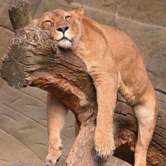 Ильдар Жантурсунов, 02.08.1986, Талдыкорган