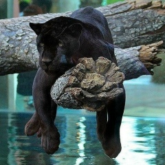 Владимир Выходцев, 07.03.1981, Красноярск