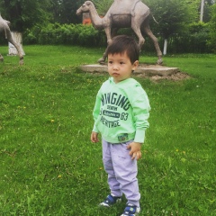 Арай Абдраимова, 04.12, Алматы