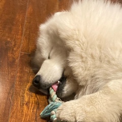 Дмитрий Патронов, 13.08, Москва