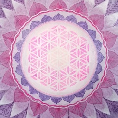 Irina Sandegard, 10.12, Санкт-Петербург