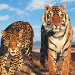 Ксюша Белова, 28.01, Санкт-Петербург