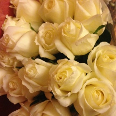 Арай Садыкова, 15.08.1987, Алматы