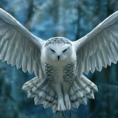 Ирина Логинова, Петрозаводск