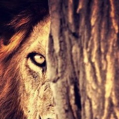 Фаик Гарибов, 11.05, Санкт-Петербург