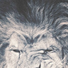 Миша , 13.08.1993, Санкт-Петербург