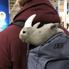 Яков Громов