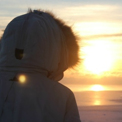 Roman Shvetsov, 29.01