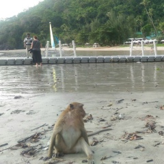 Павел Гусев, 30.09.1989, Москва