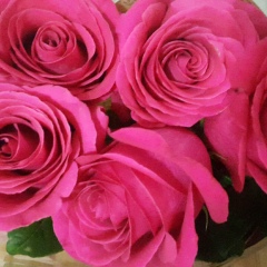 Raziya Zhanykulova, Алматы