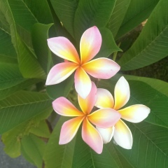 Майя Пантюх, 26.07, Челябинск