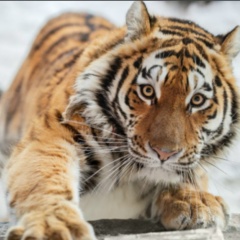 Андрей Бутенко, 22.12, Калининград