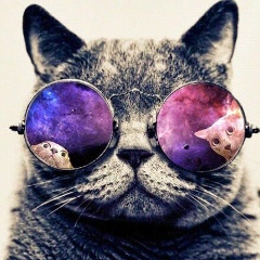 Миша Кайль, 05.06