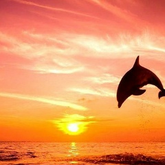 Катя Горбенко, 29.02, Санкт-Петербург