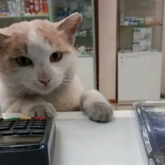 Андрей Абстулзадомбей, 29.06, Нижний Новгород