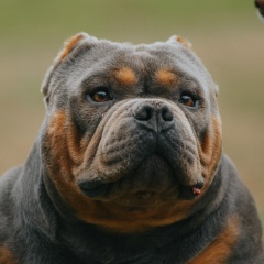 Юлия Воробьёва, 01.03, Москва