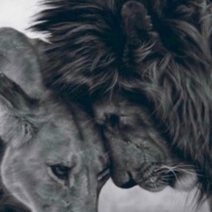 Gutieva Elina, 01.08.1990, Грозный