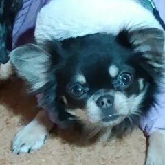 Юлия Гоголь, 03.07.1969, Санкт-Петербург